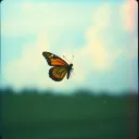Because you are a beautiful butterfly