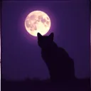 Dreaming in Darkness