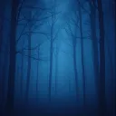 Where Are You?