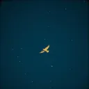 Guided by Angels