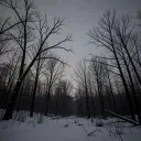 The Quiet between
