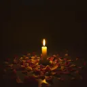 Stay for the Night