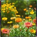 Filhas Flores