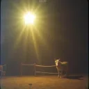 Waymaker in the Silent Night