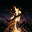 Rites of the Wasted Moon