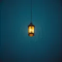 If I Had One Wish