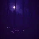 Taming Shadows