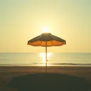 Sous Le Soleil Dérangé