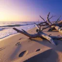 Blue Hour