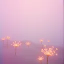 Beautiful