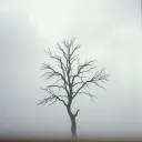 Earths Story