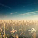 Through the fields of time