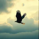Set Me Free