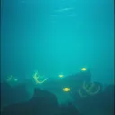 Awake Beneath the Waves