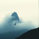 Alone at the Peak