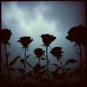 Dunkle Liebe