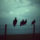 Invalids On The Roof