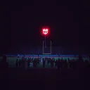 Friday Night Bulls