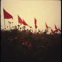 Red Flags and Broken Dreams