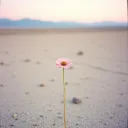 Alone in the Crowd