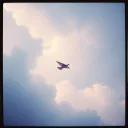 Paper Wings