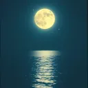 Moonlight Flight