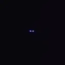 Stalking