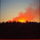 I Was Made to Burn