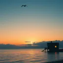 Dreams to Fly ft Sophos