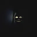 Shadows of a Smiling Ghost