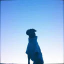 Blue Protector