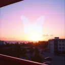 MiAMi EFFECT