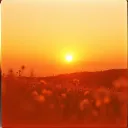 Atomic Sunrise