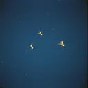 Guided by Angels