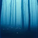 Lost Eden