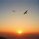 Más Allá del Sol