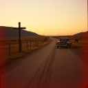 Bloodlines & Backroads
