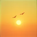 Wings of Love