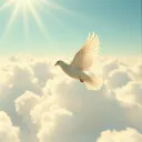 Soar high