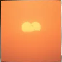 World needs love