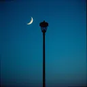 The Night Whispers Your Name