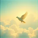 Sweet Name of Grace