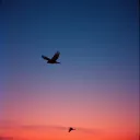The Sparrow and the Cardinal
