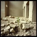 From Rubble to Rise