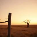 Out Where Cowboys and Indians Weren't Played