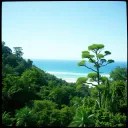 Hijau Yang Damai