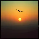 The price of being free