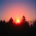 United tonight