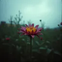 You