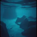 Obsidian Silence